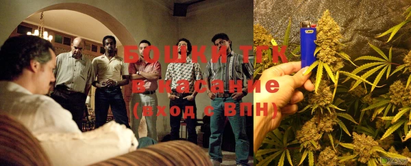 кокс Белокуриха