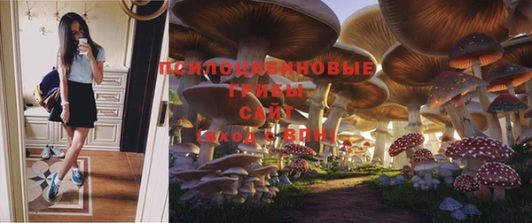 стафф Белоозёрский
