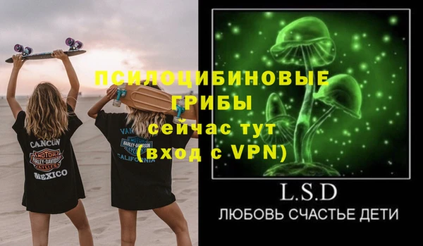 кокс Белокуриха